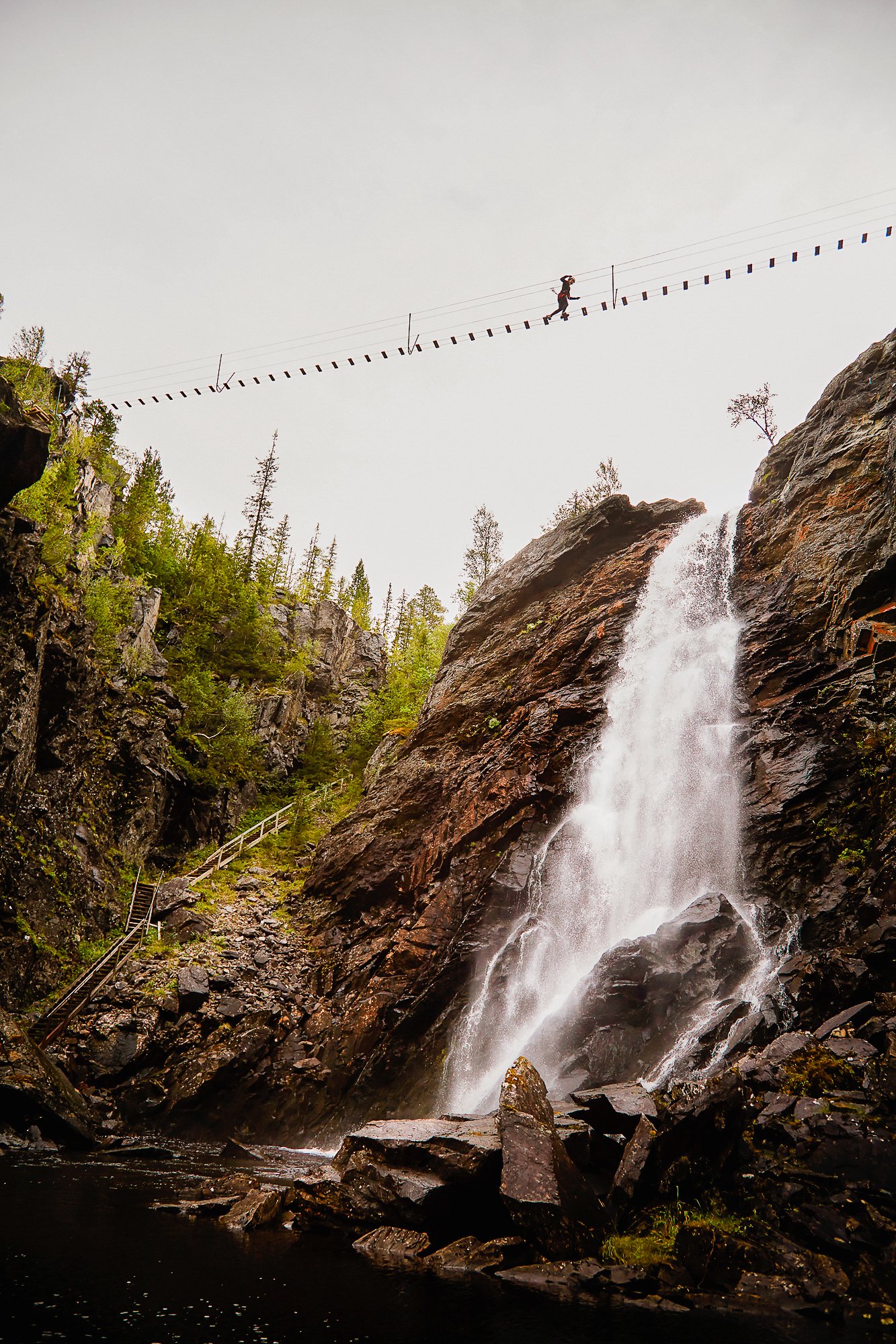 Rypetoppen Adventurepark
